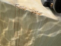 Лучшая цена на Southern Cross 1994