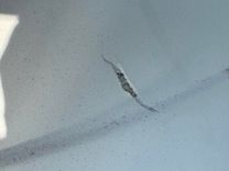 Купить яхту Southern Cross в Shestakov Yacht Sales