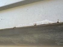 Лучшая цена на Southern Cross 1994