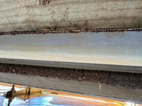 Купить яхту Southern Cross - Chaparral в Shestakov Yacht Sales