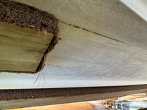 Southern Cross Signature 27 Cabin Cruiser