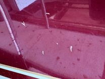 Southern Cross - Chaparral