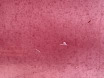 Купить Southern Cross 28