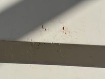 Лучшие предложения покупки яхты Southern Cross