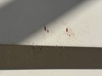 Лучшая цена на Southern Cross 28