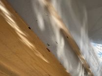 Купить яхту Southern Cross Signature 27 Cabin Cruiser в Shestakov Yacht Sales