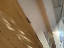 Купить яхту Southern Cross в Shestakov Yacht Sales