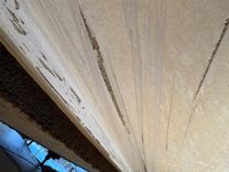 Купить Southern Cross 28