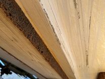 Стоимость яхты Southern Cross - Chaparral