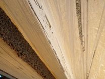 Купить Southern Cross Signature 27 Cabin Cruiser