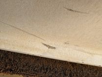 Продажа яхты Southern Cross Signature 27 Cabin Cruiser