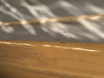 Лучшие предложения покупки яхты Southern Cross 1994