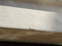 Купить яхту Southern Cross Signature 27 Cabin Cruiser в Shestakov Yacht Sales