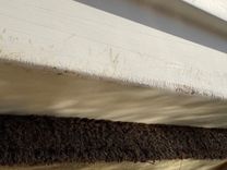 Купить яхту Southern Cross в Shestakov Yacht Sales