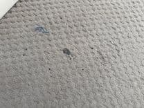 02 Bennington 257L Pontoon NLSQ price