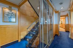 Fortune Elephant - ALLOY