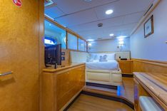 Fortune Elephant 114