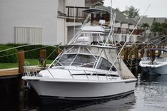 IT'S A WRAP yacht sale