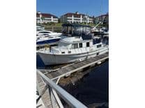 the best price on Funky Monkey