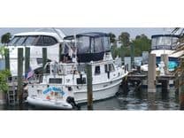 the best price on Funky Monkey 36