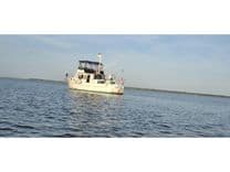 Funky Monkey - MONK price