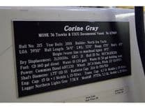 Funky Monkey 2001 price