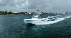 Купить ATTITUDES 2019