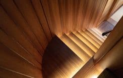 Купить Canova 2019