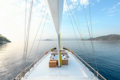 the best price on BELGIN SULTAN - CUSTOM