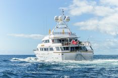 the best price on MISTRESS - Benetti