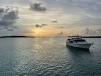 MOUNTAIN MERMAID 54 price