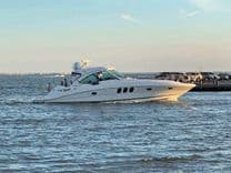 Лучшие предложения покупки яхты Sundancer 500 - SEA RAY