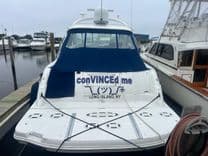 Лучшая цена на Sundancer 500