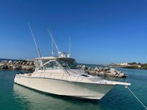 the best price on BONA VITA 2009