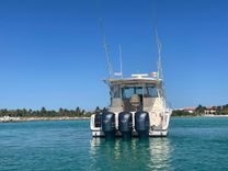 BONA VITA - GRADY-WHITE price