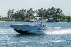 Купить Reel Doozy