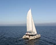 SPICE OF LIFE - SUNREEF