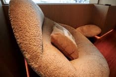 best yacht sales deals FRANKLIE 160