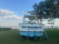 Лучшая цена на Rip Runner II 28