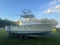 Rip Runner II - TOPAZ