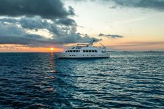 the best price on Done Deal Raised Pilothouse