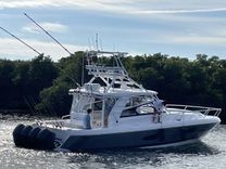 NET LOSS 477 Evolution price