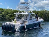 NET LOSS - Intrepid yacht sale