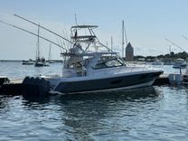 NET LOSS - Intrepid yacht sale