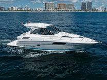 the best price on DAMN DADDY - Regal