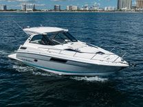 Buy a DAMN DADDY at Shestakov Yacht Sales