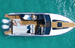 Купить Flipper 900 DC 2024