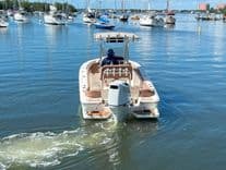 Лучшая цена на PIONEER 202