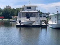 The Cat From the Hat 605 price