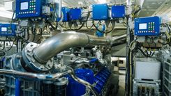 SEA PEARL - Mangusta